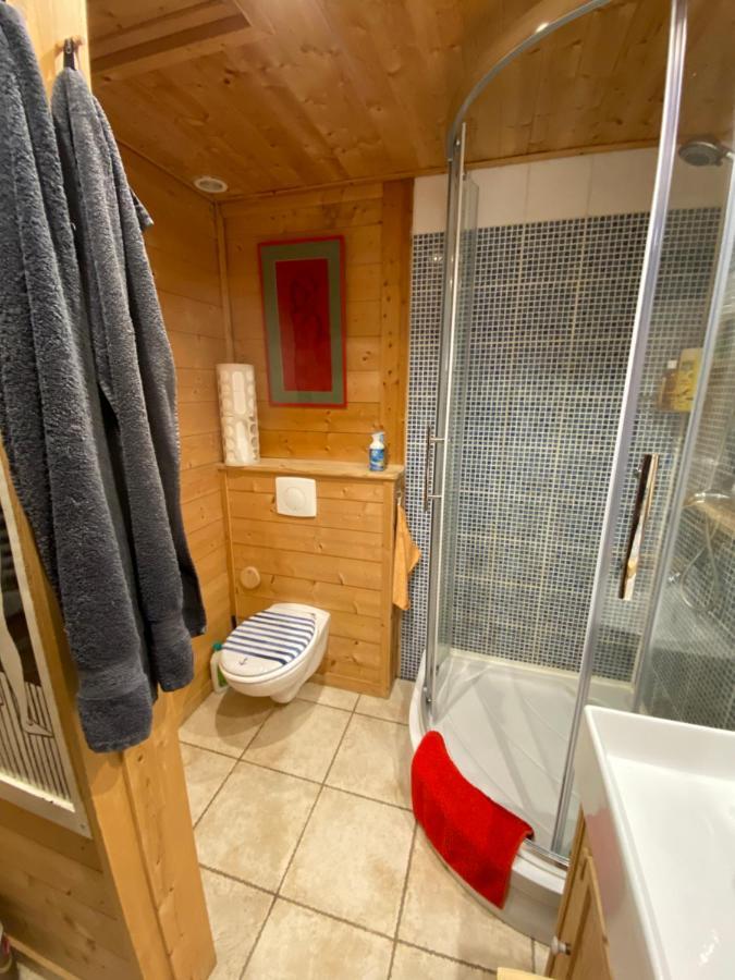 Chalet Les Chouettes Thônes エクステリア 写真