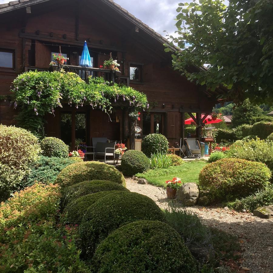 Chalet Les Chouettes Thônes エクステリア 写真